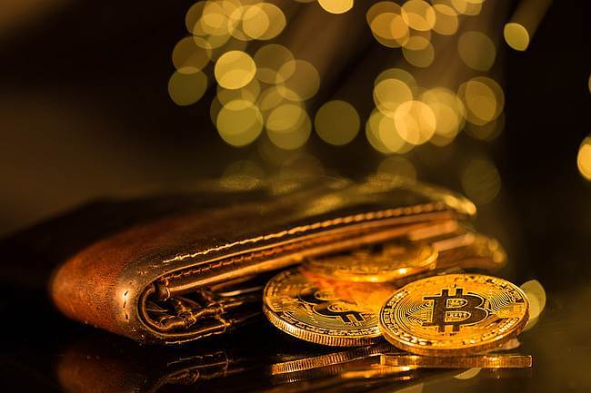 geldbörse mit kryptowährungen bitcoins
